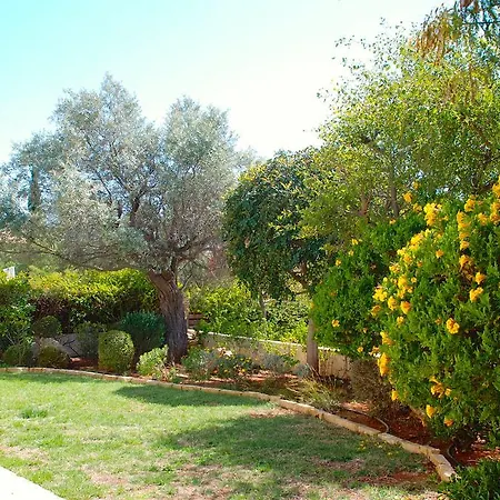 Βίλα 3 Bedroom Omodos With Private Pool, Aphrodite Hills